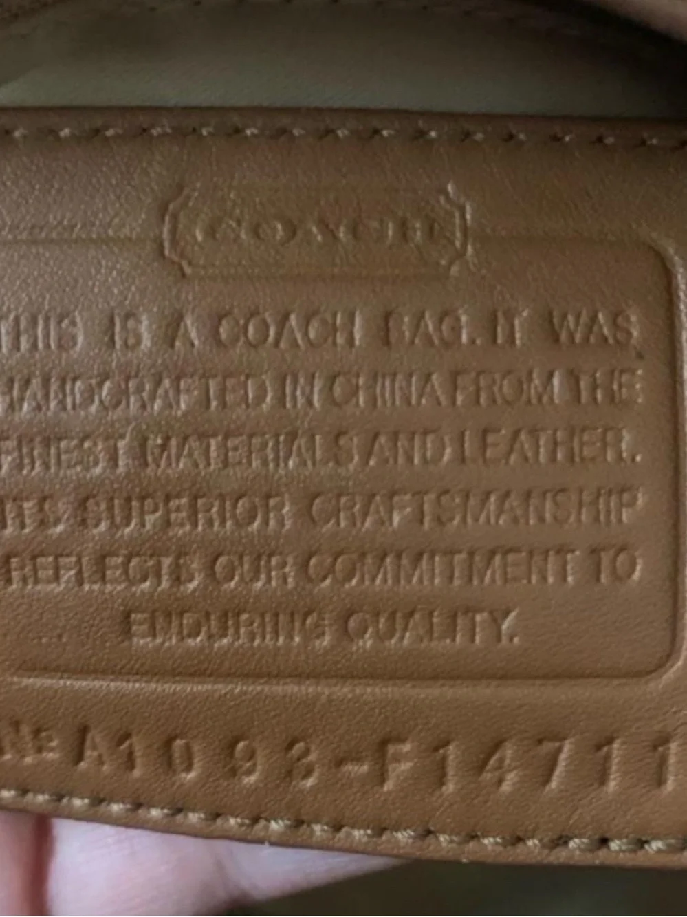Coach ultimate y2k